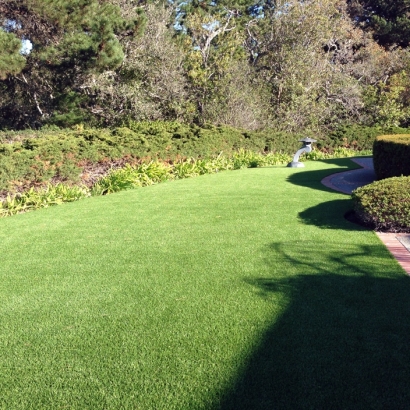 Lawn Services Mathis, Texas Lawns, Front Yard Landscape Ideas