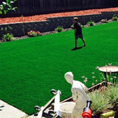 Outdoor Carpet Buckholts, Texas Backyard Playground, Backyard Landscaping