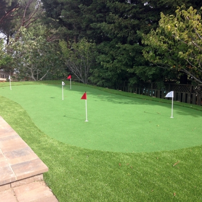 Outdoor Carpet Cantu Addition, Texas Putting Green Grass, Backyard Design