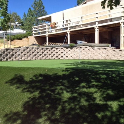 Outdoor Carpet Weir, Texas Best Indoor Putting Green, Backyard