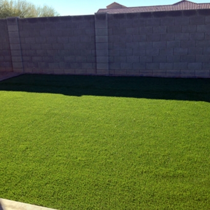 Plastic Grass Cedar Park, Texas Landscaping Business, Backyard Design