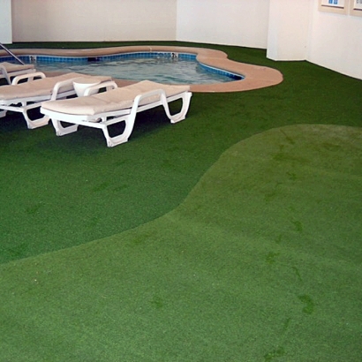 Plastic Grass Damon, Texas Design Ideas, Natural Swimming Pools