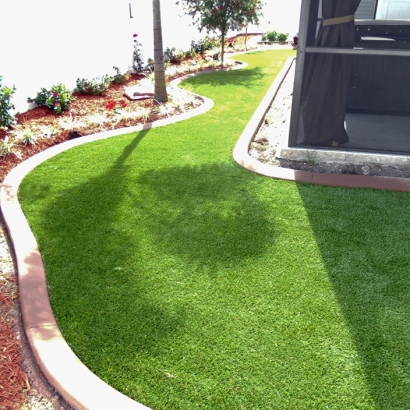 Plastic Grass Edroy, Texas Rooftop, Small Backyard Ideas