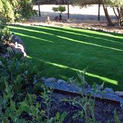 Plastic Grass Petronila, Texas Rooftop, Beautiful Backyards