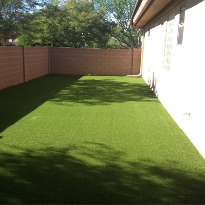 Plastic Grass Waco, Texas Design Ideas, Backyard Makeover