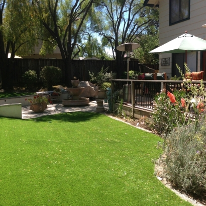 Synthetic Grass Camp Swift, Texas Gardeners, Backyard Ideas