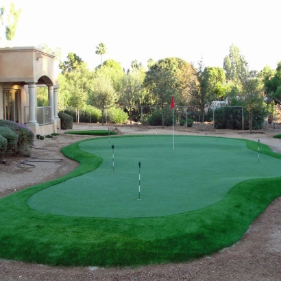 Synthetic Grass Cost Carmine, Texas Putting Green Flags, Backyard Garden Ideas