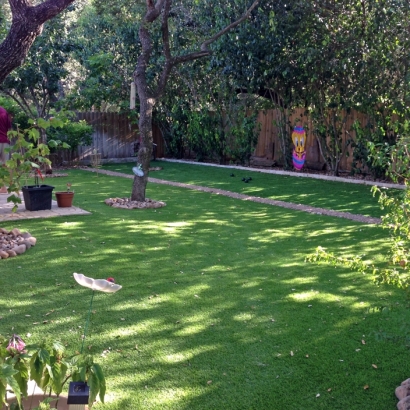 Synthetic Grass Cost Gregory, Texas Landscape Design, Backyard Designs