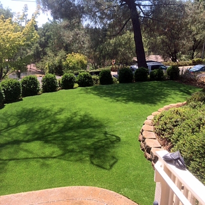 Synthetic Grass Cost Poteet, Texas Lawn And Garden, Backyard Garden Ideas