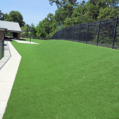 Synthetic Grass Cost Windemere, Texas Roof Top, Commercial Landscape