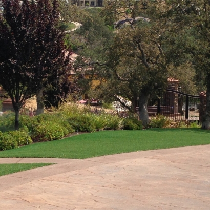 Synthetic Grass Glidden, Texas Landscape Ideas, Backyard Ideas