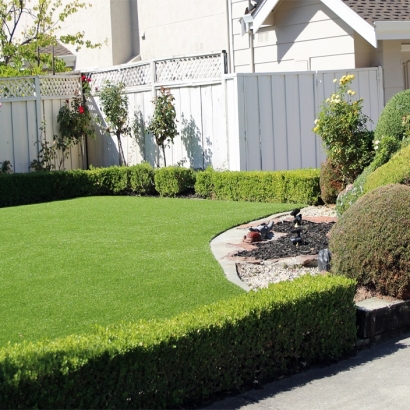 Synthetic Grass Shady Hollow, Texas Landscape Ideas, Front Yard