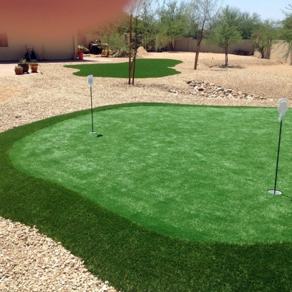 Synthetic Lawn Bay City, Texas Backyard Putting Green, Backyard