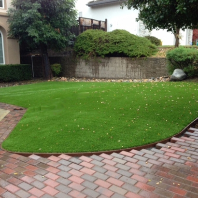 Synthetic Lawn Gonzales, Texas Roof Top, Front Yard Landscaping