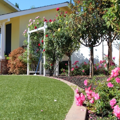 Synthetic Lawn Kendleton, Texas Paver Patio, Front Yard Ideas