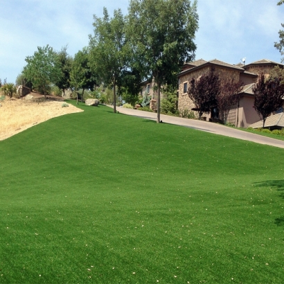 Synthetic Turf Goliad, Texas City Landscape, Small Front Yard Landscaping