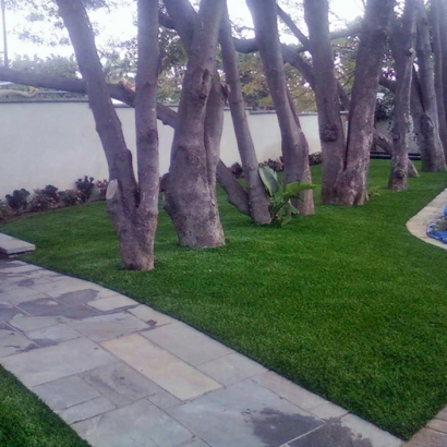 Synthetic Turf Supplier Wharton, Texas Gardeners, Landscaping Ideas For Front Yard