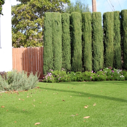 Turf Grass Goliad, Texas Backyard Deck Ideas, Front Yard Landscape Ideas