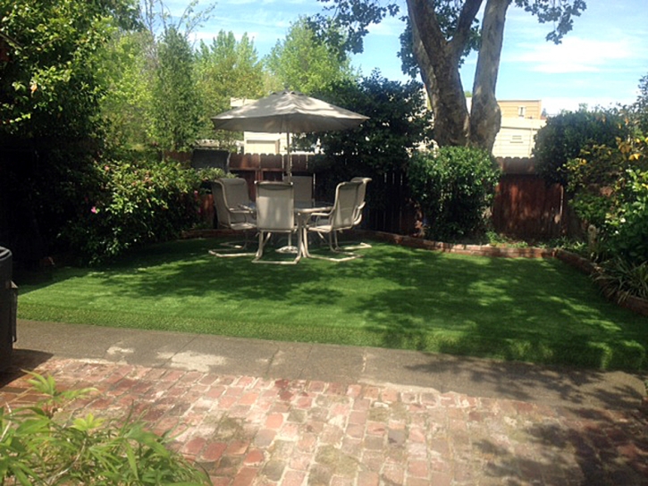 Artificial Grass Carpet Bandera, Texas Landscape Photos, Backyard Ideas