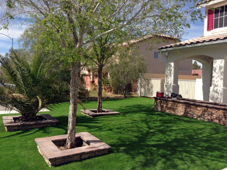 Artificial Grass Carpet Del Sol Colonia, Texas Landscaping Business, Small Front Yard Landscaping