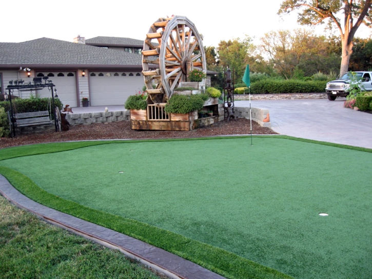 Artificial Grass Carpet Eagle Pass, Texas Diy Putting Green, Front Yard Landscape Ideas