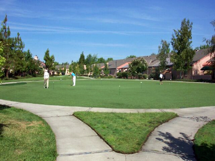 Artificial Grass Carpet El Campo, Texas Lawns, Commercial Landscape