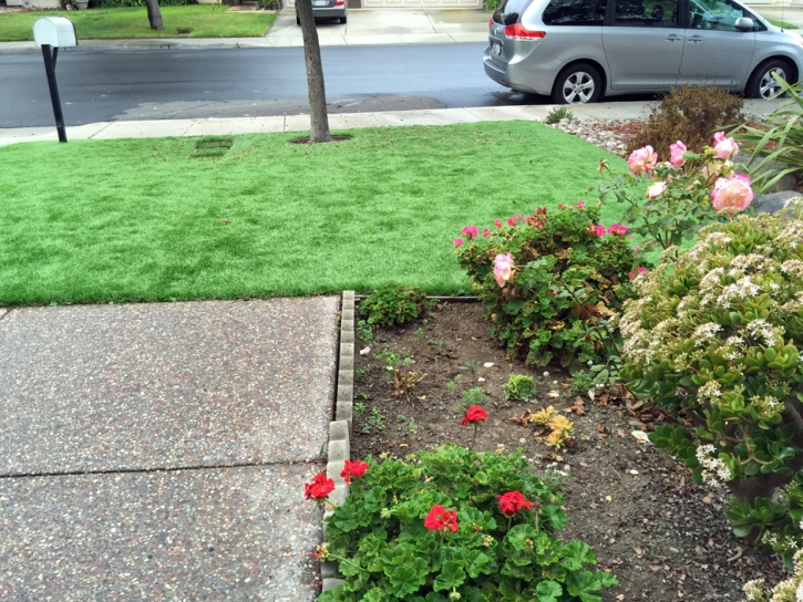 Artificial Grass Carpet Hudson Bend, Texas Rooftop, Front Yard Design