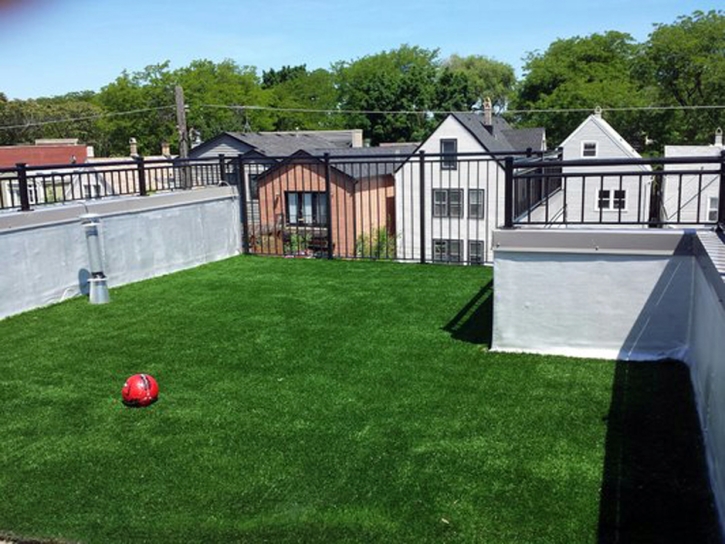 Artificial Grass Carpet Lost Creek, Texas Design Ideas, Patio