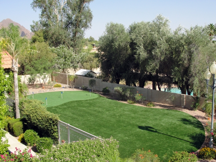 Artificial Grass Carpet Paisano Park Colonia, Texas Gardeners, Backyard Landscaping Ideas