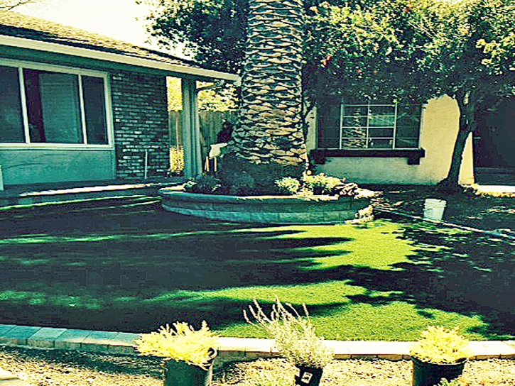 Artificial Grass Carpet Point Comfort, Texas Landscape Design, Landscaping Ideas For Front Yard