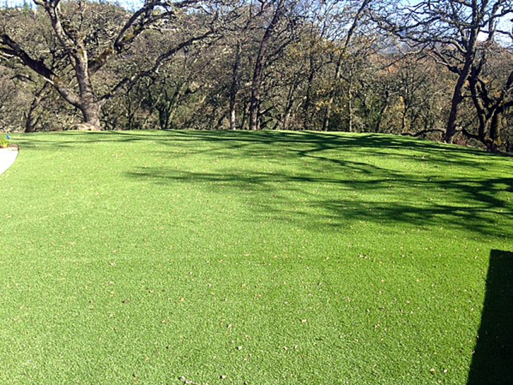 Artificial Grass Carpet Rocksprings, Texas Landscape Ideas, Recreational Areas