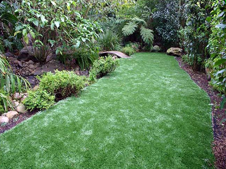 Artificial Grass Carpet Sealy, Texas Home And Garden, Backyard Garden Ideas