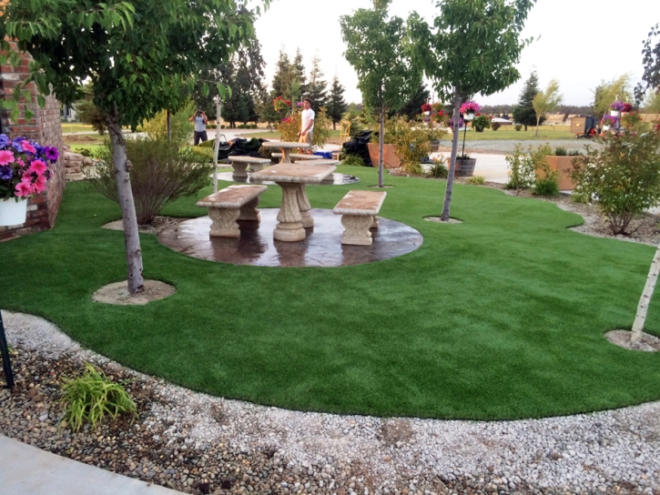 Artificial Grass Carpet Smiley, Texas Landscape Design, Commercial Landscape