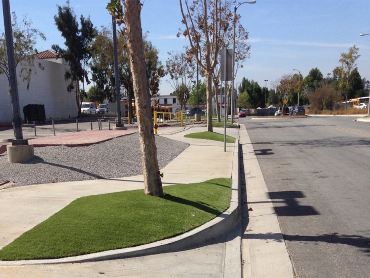 Artificial Grass Carpet West Pearsall, Texas Backyard Deck Ideas, Commercial Landscape