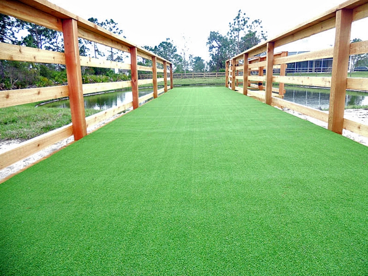 Artificial Grass Cinco Ranch, Texas Watch Dogs, Commercial Landscape