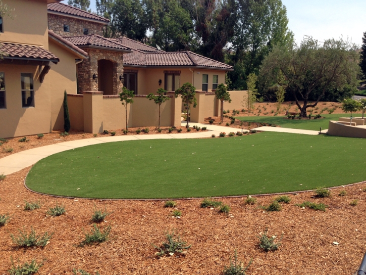 Artificial Grass Installation Cottonwood Shores, Texas Landscaping Business, Small Front Yard Landscaping