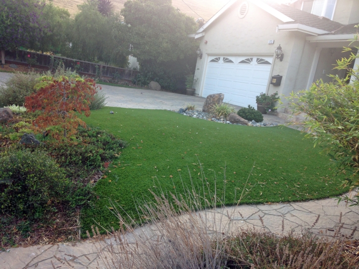 Artificial Grass Karnes City, Texas Backyard Deck Ideas, Front Yard Design