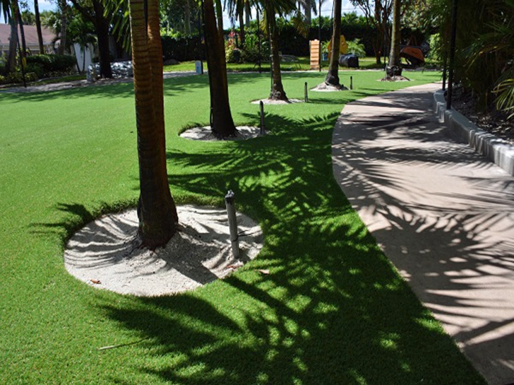 Artificial Grass Lago Vista, Texas Roof Top, Commercial Landscape