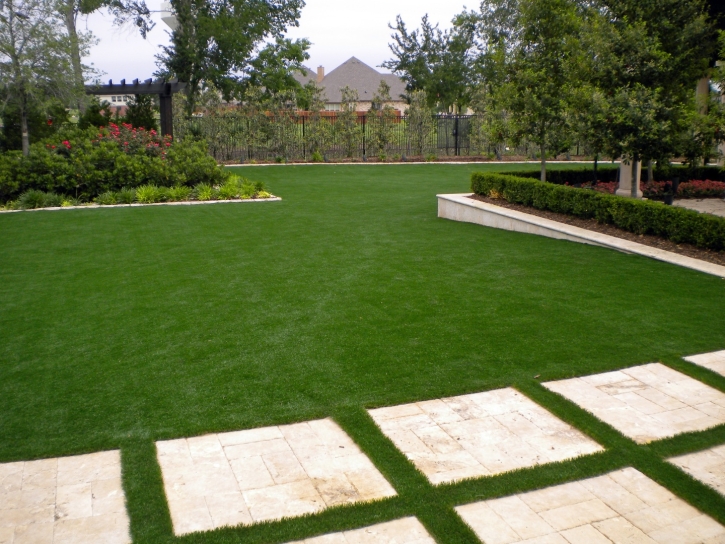 Artificial Grass McQueeney, Texas Roof Top, Backyard Landscaping