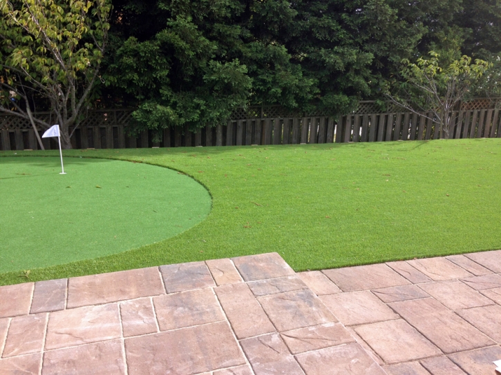 Artificial Grass Moore, Texas Gardeners, Backyard Landscaping