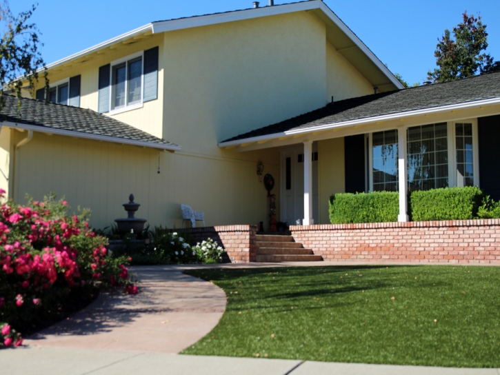 Artificial Grass Orchard, Texas Landscape Design, Front Yard