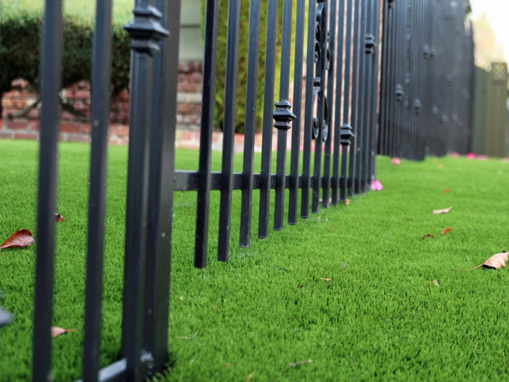 Artificial Grass Paisano Park Colonia, Texas Landscaping Business, Front Yard Landscaping Ideas