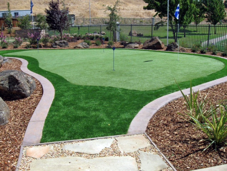 Artificial Grass Rockport, Texas Office Putting Green, Backyards