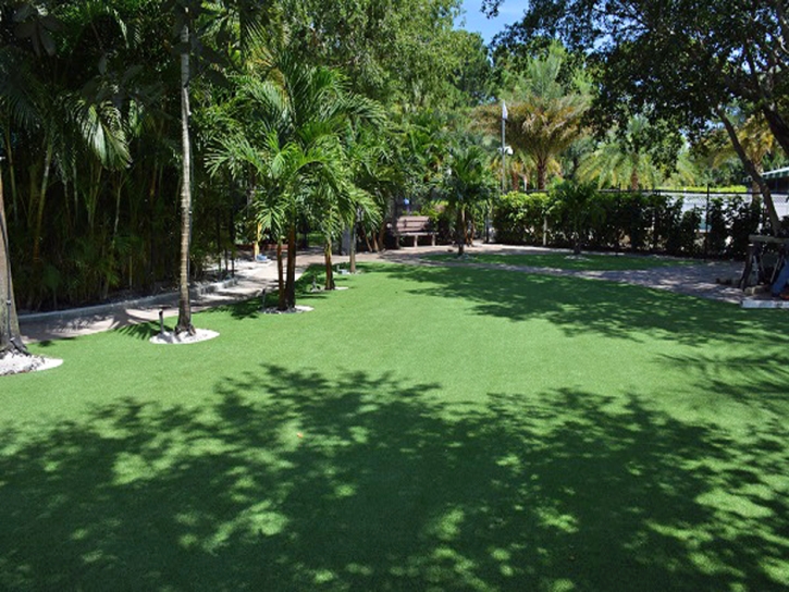 Artificial Grass Volente, Texas Landscape Design, Commercial Landscape