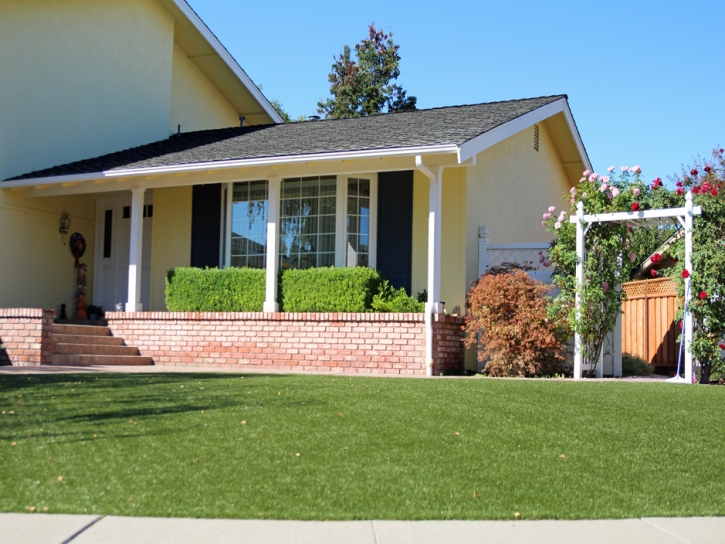 Artificial Lawn Del Sol Colonia, Texas Garden Ideas, Front Yard Landscape Ideas