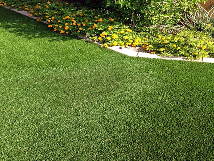 Artificial Lawn Leming, Texas Gardeners, Front Yard Landscaping Ideas