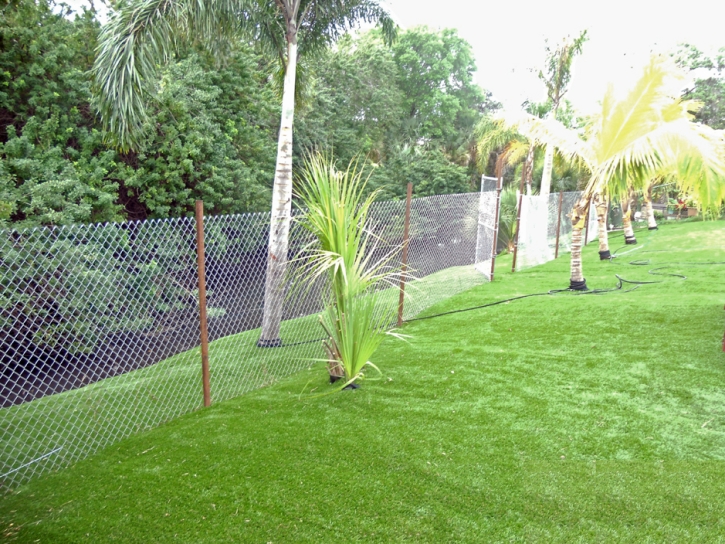 Artificial Lawn Lexington, Texas Lawn And Landscape, Backyard Ideas