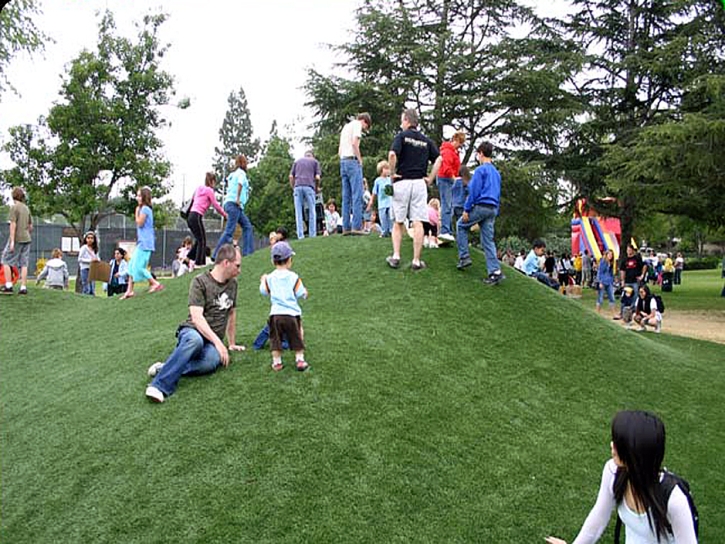 Artificial Lawn Pueblo Nuevo Colonia, Texas Kids Indoor Playground, Parks