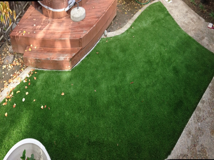 Artificial Lawn Shiner, Texas City Landscape, Backyard Design