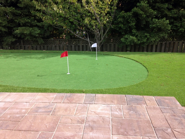 Artificial Lawn Wixon Valley, Texas Putting Green, Backyard Designs